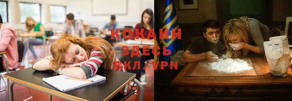 шишки Беломорск