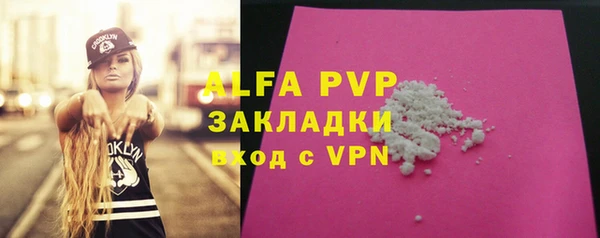 шишки Беломорск
