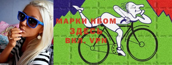 шишки Беломорск