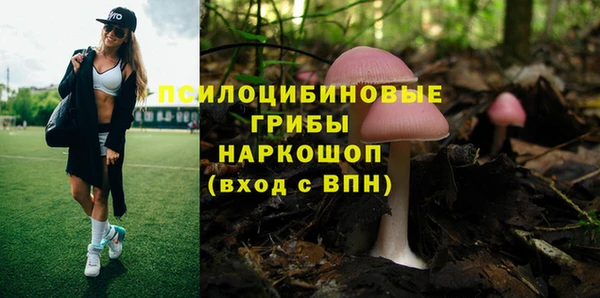 шишки Беломорск