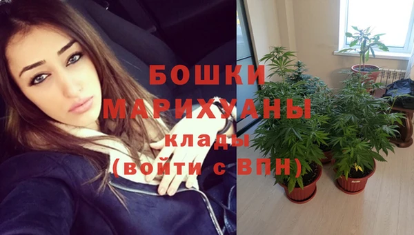 дурь Белокуриха