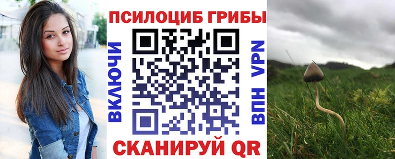 Псилоцибиновые грибы Psilocybine cubensis  Заринск 